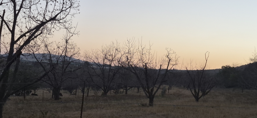 9 Bedroom Property for Sale in Rietfontein AH North West